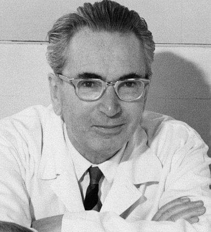 Viktor Frankl voorbeeld van veerkracht